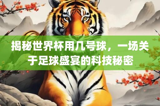 揭秘世界杯用几号球，一场关于足球盛宴的科技秘密漯河市盈旭机械设备有限公司