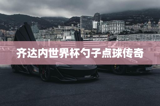 齐达内世界杯勺子点球传奇漯河市盈旭机械设备有限公司