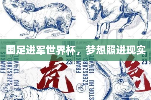 国足进军世界杯，梦想照进现实