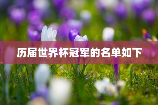 历届世界杯冠军的名单如下漯河市盈旭机械设备有限公司