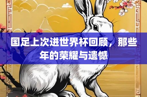 国足上次进世界杯回顾，那些年的荣耀与遗憾漯河市盈旭机械设备有限公司