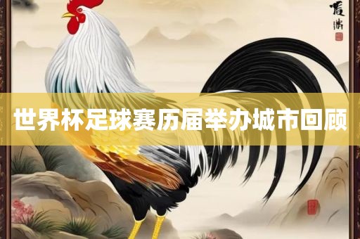 世界杯足球赛