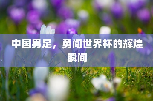 中国男足，勇闯世界杯的辉煌瞬间