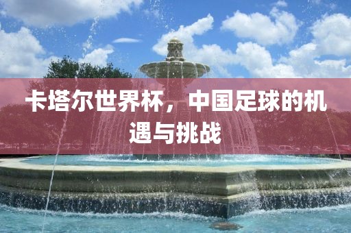 卡塔尔世界杯，中国足球的机遇与挑战