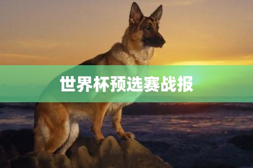 世界杯预选赛战报漯河市盈旭机械设备有限公司
