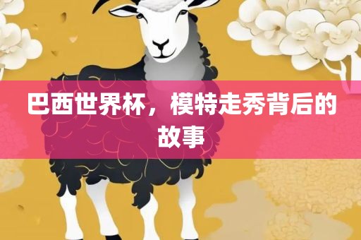 巴西世界杯，模特走秀背后的故事