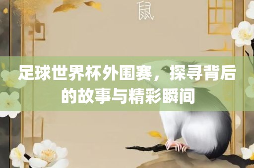足球世界杯外围赛，探寻背后的故事与精彩瞬间