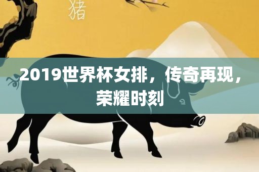2019世界杯女排，传奇再现，荣耀时刻