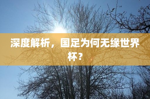 深度解析，国足为何无缘世界杯？漯河市盈旭机械设备有限公司