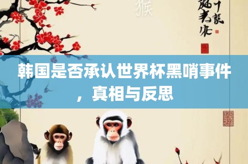 韩国是否承认世界杯黑哨事件，真相与反思