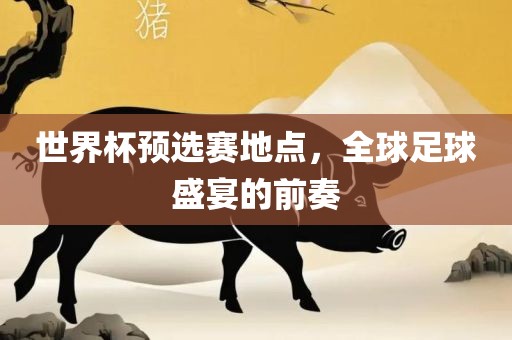 世界杯预选赛地点，全球足球盛宴的前奏漯河市盈旭机械设备有限公司
