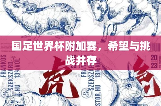 国足世界杯附加赛，希望与挑战并存漯河市盈旭机械设备有限公司