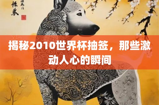 揭秘2010世界杯抽签，那些激动人心的瞬间