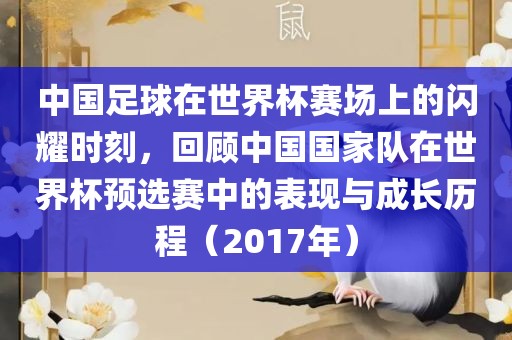 中国足球在世界杯赛场上的闪耀时刻，回顾中国国家队在世界杯预选赛中的表现与成长历程（2017年）