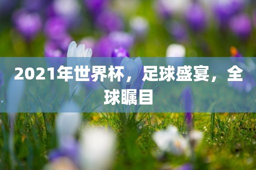 2021年世界杯，足球盛宴，全球瞩目