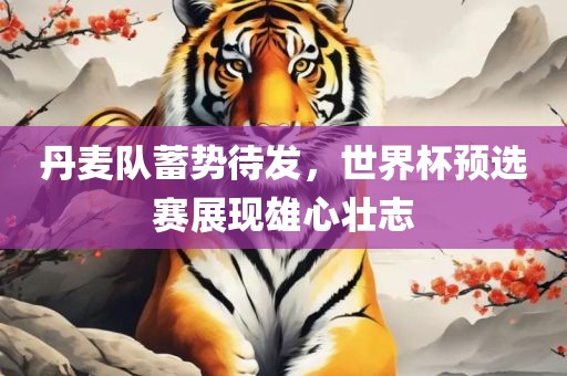 丹麦队蓄势待发，世界杯预选赛展现雄心壮志漯河市盈旭机械设备有限公司