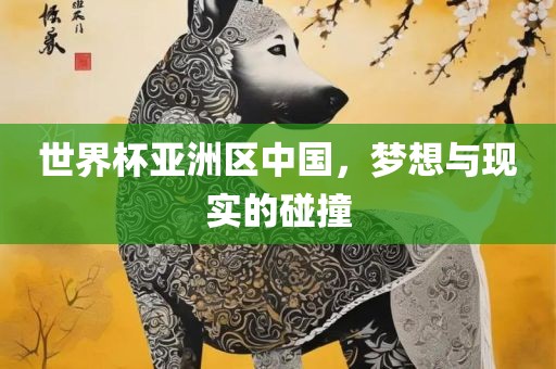 世界杯亚洲区中国，梦想与现实的碰撞