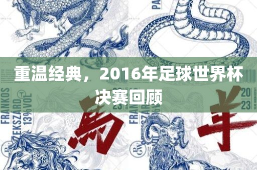 重温经典，2016年足球世界杯决赛回顾