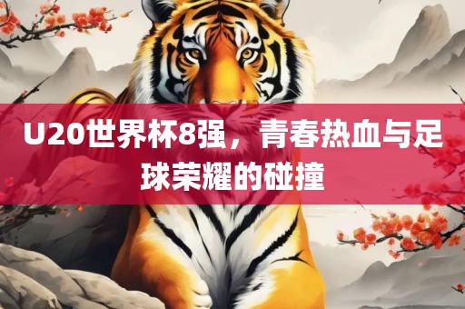 U20世界杯8强，青春热血与足球荣耀的碰撞