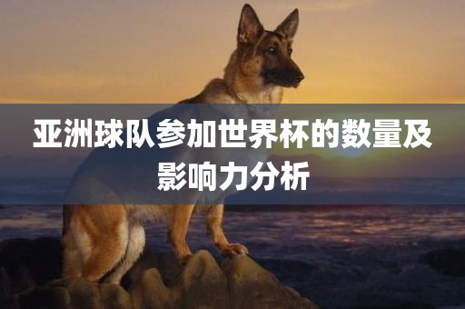 亚洲球队
