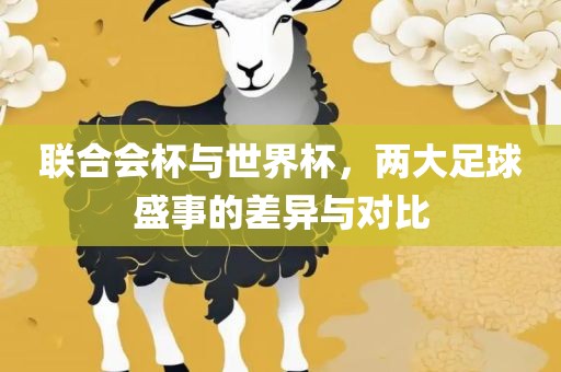 联合会杯与世界杯，两大足球盛事的差异与对比