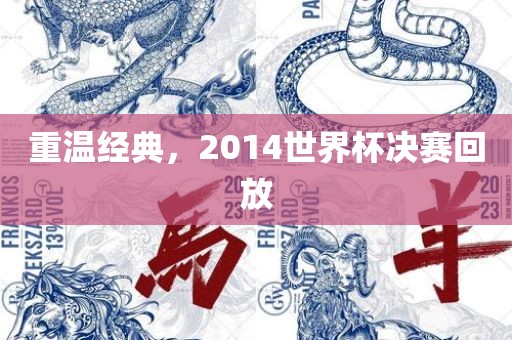 重温经典，2014世界杯决赛回放