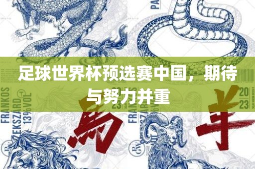 足球世界杯预选赛中国，期待与努力并重