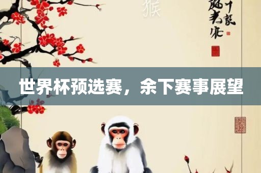世界杯预选赛，余下赛事展望