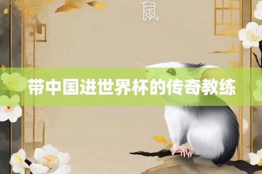 带中国进世界杯的传奇教练