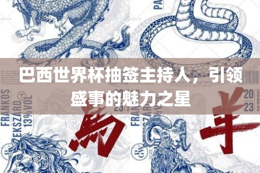 巴西世界杯抽签主持人，引领盛事的魅力之星