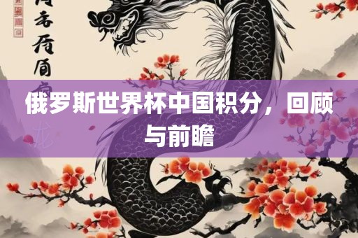 俄罗斯世界杯中国积分，回顾与前瞻