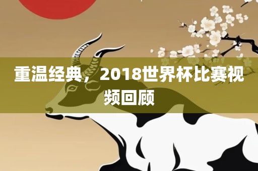 重温经典，2018世界杯比赛视频回顾