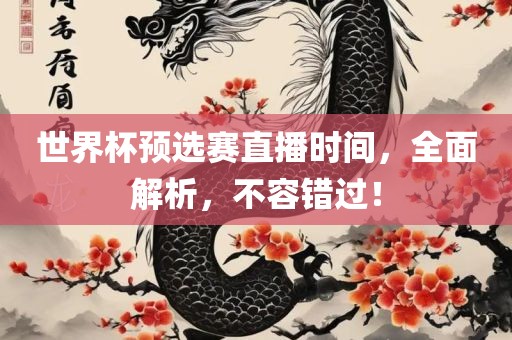 世界杯预选赛直播时间，全面解析，不容错过！