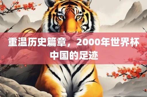 重温历史篇章，2000年世界杯中国的足迹