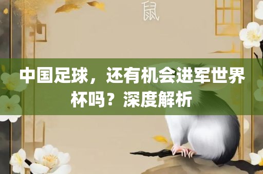 中国足球，还有机会进军世界杯吗？深度解析