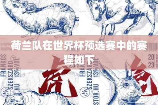 荷兰队在世界杯预选赛中的赛程如下漯河市盈旭机械设备有限公司