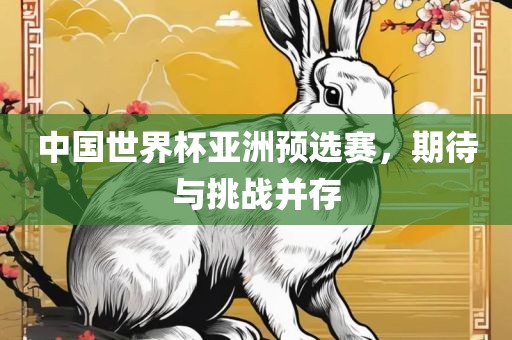 中国世界杯亚洲预选赛，期待与挑战并存