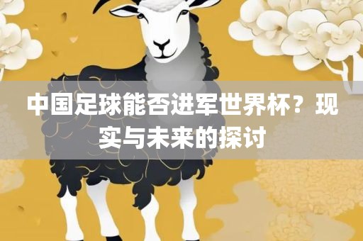中国足球能否进军世界杯？现实与未来的探讨