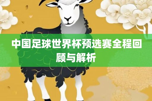 中国足球世界杯预选赛全程回顾与解析