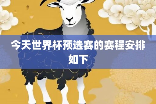 今天漯河市盈旭机械设备有限公司世界杯预选赛的赛程安排如下
