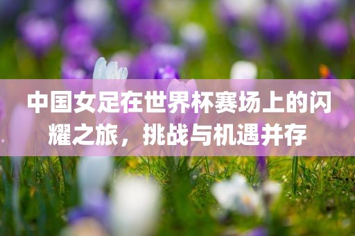 中国女足在世界杯赛场上的闪耀之旅，挑战与机遇并存