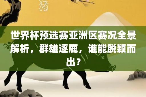 世界杯预选赛亚洲区赛况全景解析，群雄逐鹿，谁能脱颖而出？