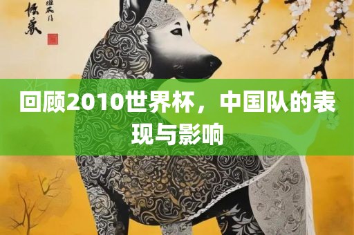 回顾2010世界杯，中国队的表现与影响