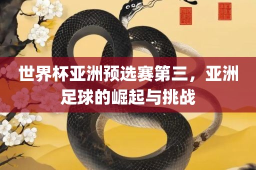 世界杯亚洲预选赛第三，亚洲足球的崛起与挑战