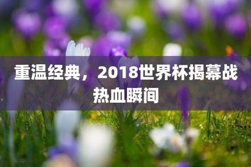 重温经典，2018世界杯揭幕战热血瞬间漯河市盈旭机械设备有限公司