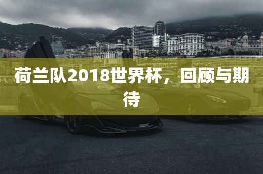 荷兰队2018世界杯，回顾与期待