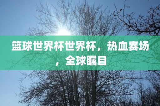 篮球世界杯世界杯，热血赛场，全球瞩目