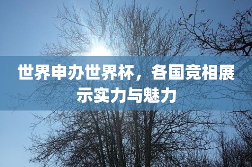 世界申办世界杯，各国竞相展示实力与魅力