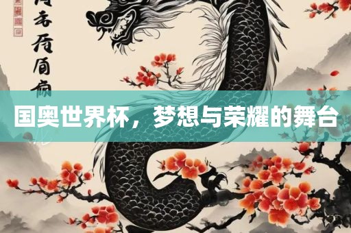 国奥世界杯，梦想与荣耀的舞台