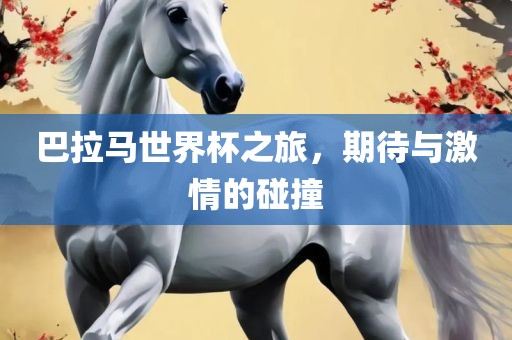 巴拉马世界杯之旅，期待与激情的碰撞